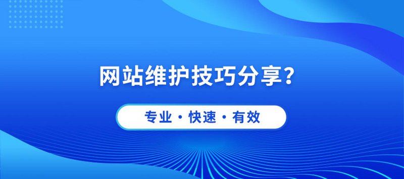 海口网络公司的崛起:数字化转型之路
